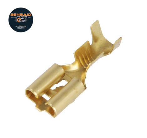 Fiche Plate Femelle Ø...